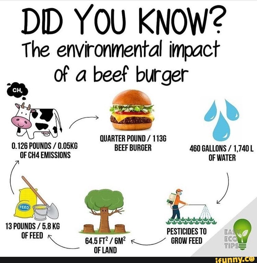 DID YOU KNOW? The environmental impact Of a beef burger Em ds QUARTER ...