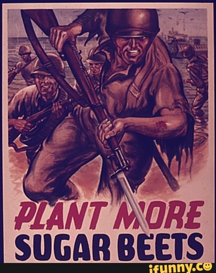 WORE
ANT SUGAR BEETS