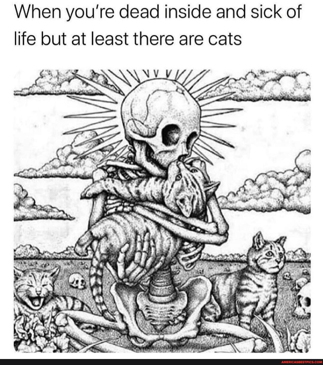 When you're dead inside and sick of life but at least there are cats