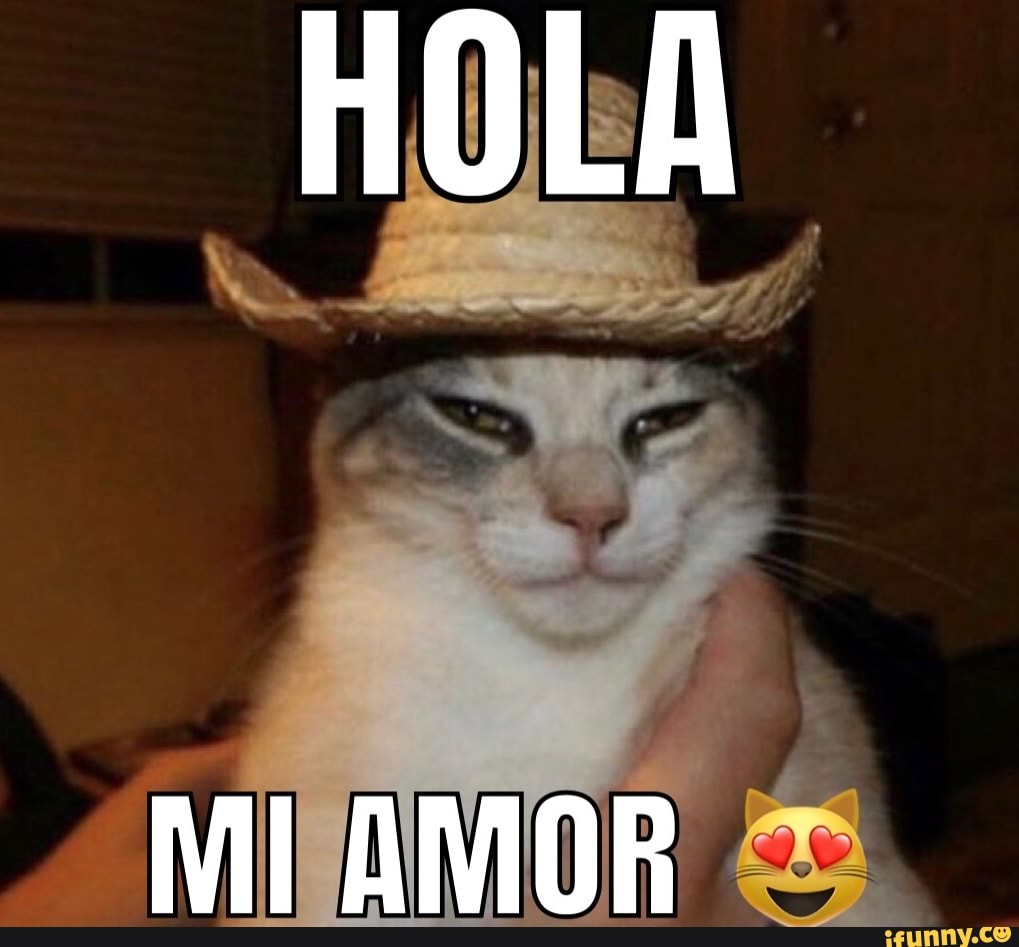 HOLA MI AMOR - iFunny Brazil