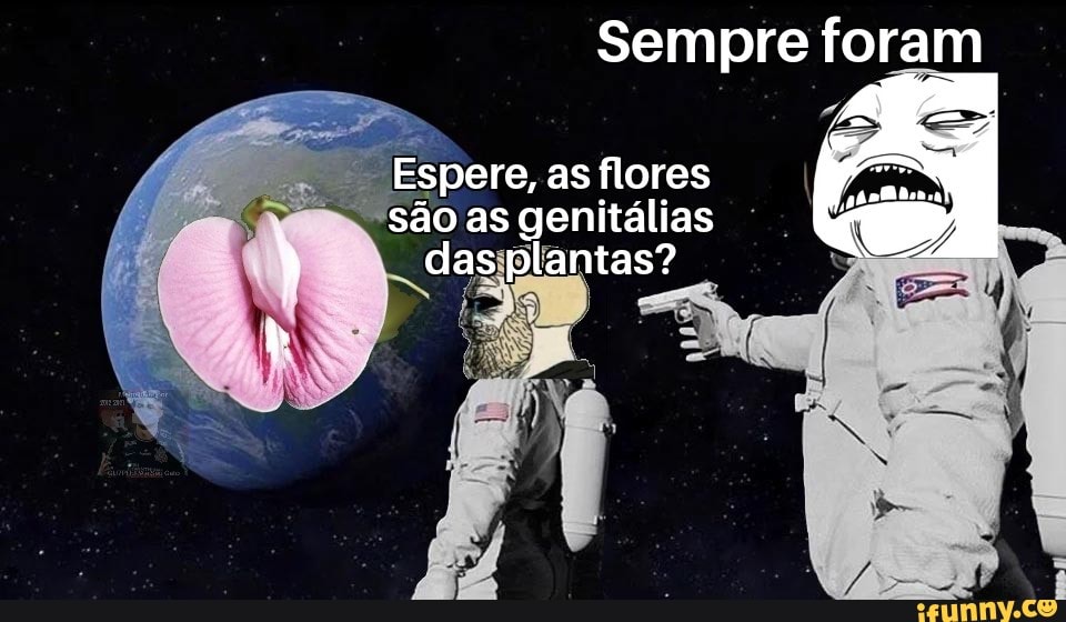 Sempre foram
Espere, as flores são as genitálias das plantas?