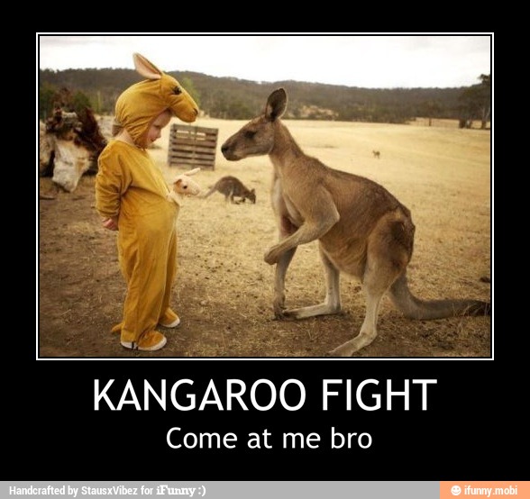 KANGAROO
FIGHT
Come at me bro - KANGAROO FIGHT
Come at me bro