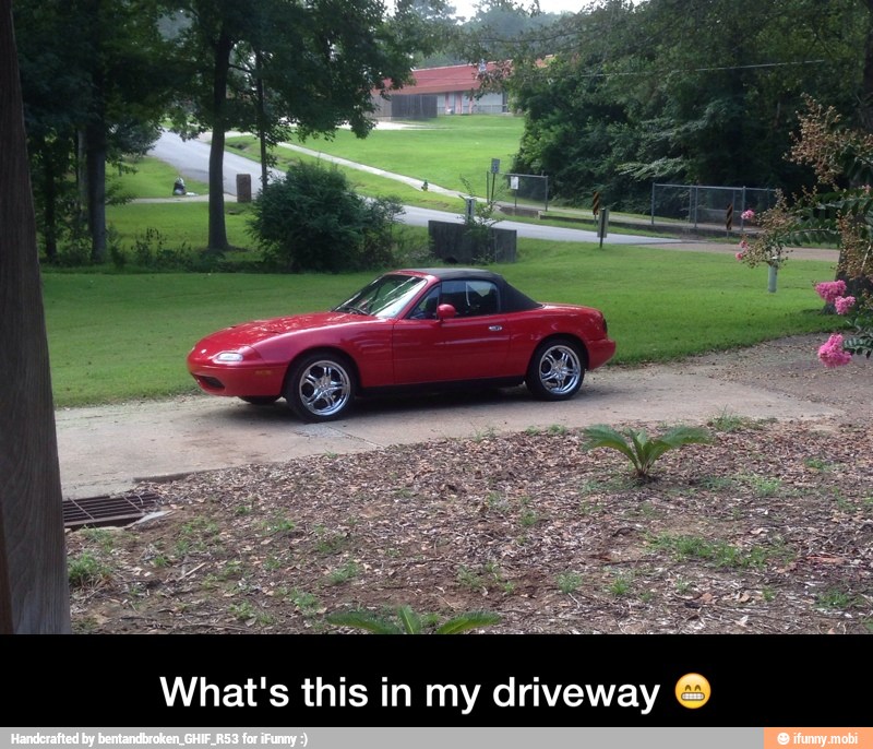 What's this in my driveway ยฎ - What's this in my driveway ๐