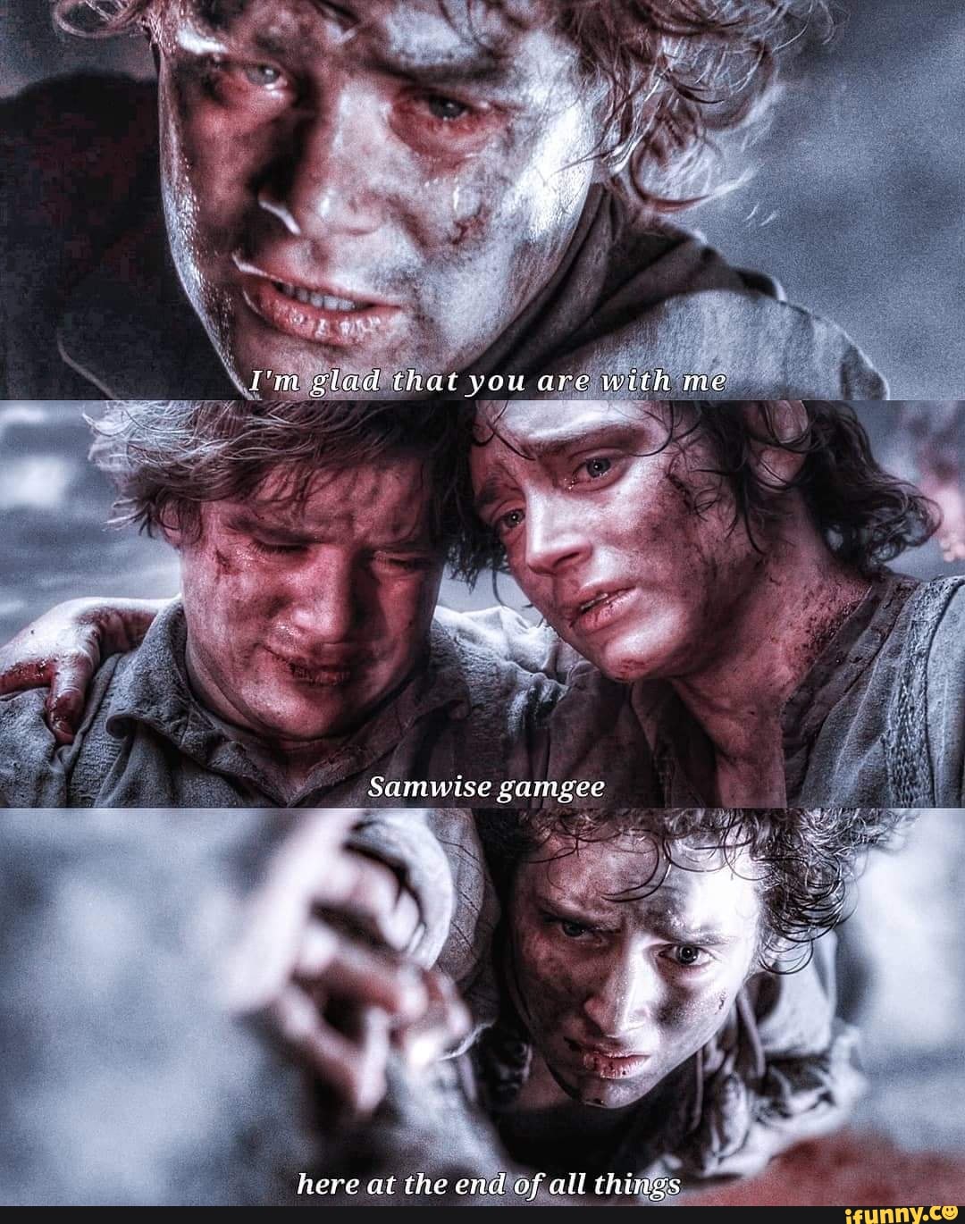 I'm glad that you are with me
Samwisegamgee
here at the end of all things