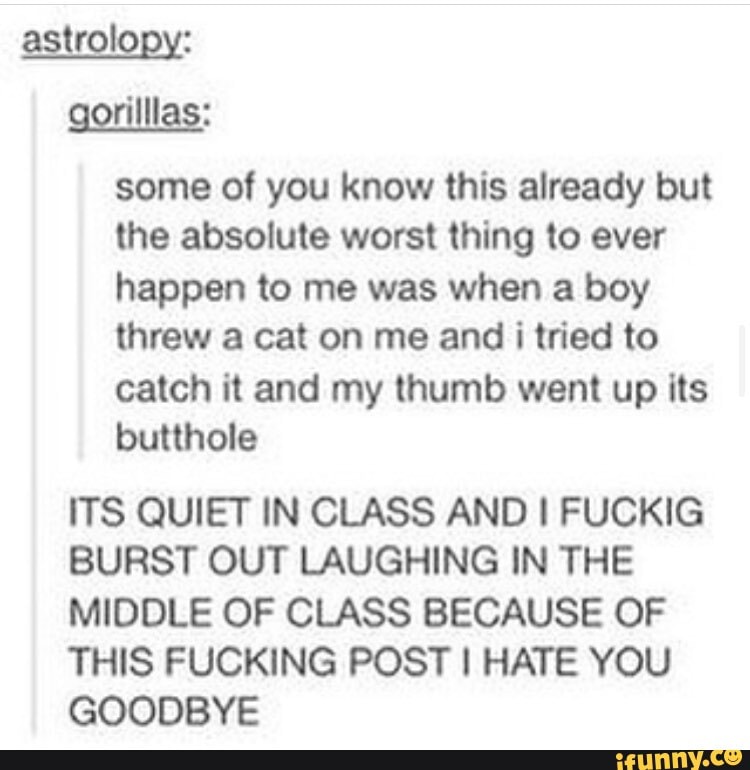 astrolopy: gorillas: some of you know this already but the absolute worst thing to ever happen to me was when a boy threw a cat on me and i tried to
catch it and my thumb went up its butthole
ITS QUIET IN CLASS AND FUCKIG BURST OUT LAUGHING IN THE MIDDLE OF CLASS BECAUSE OF THIS FUCKING POST I HATE YOU GOODBYE