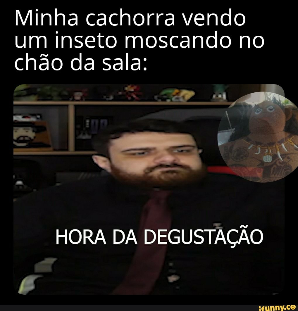 Minha cachorra vendo um inseto moscando no chão da sala:
HORA DA DEGUSTAÇÃO