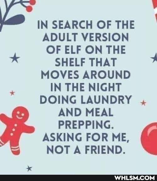 IN SEARCH OF THE
ADULT VERSION OF ELF ON THE
* SHELF THAT MOVES AROUND IN THE NIGHT DOING LAUNDRY AND MEAL PREPPING.
ASKING FOR ME,
NOT A FRIEND.