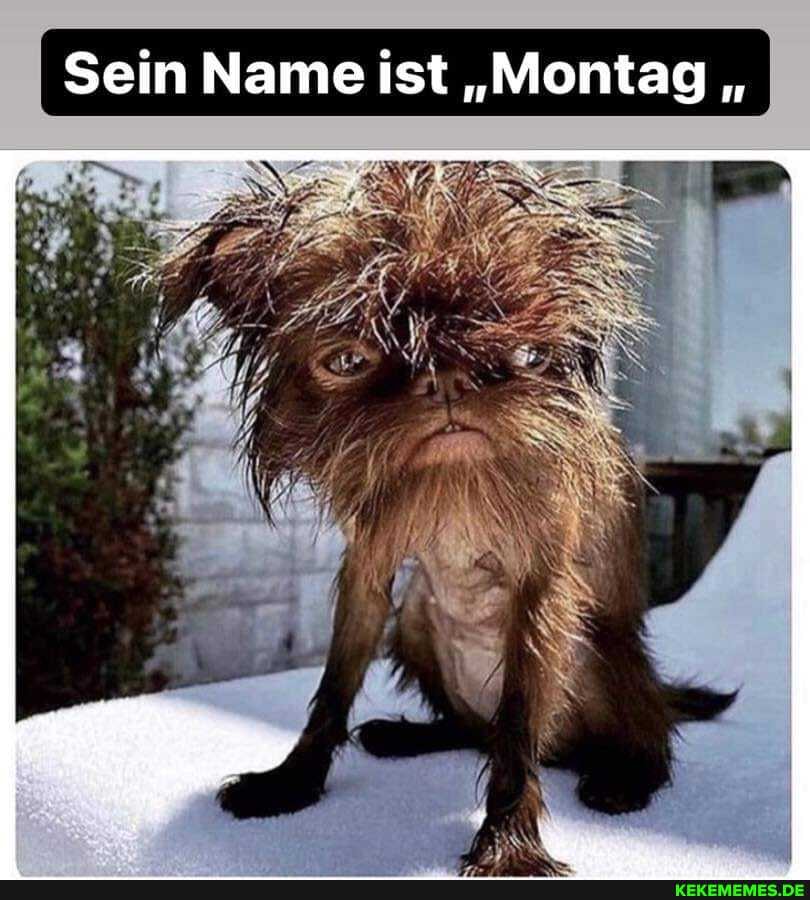 Sein Name ist "Montag "