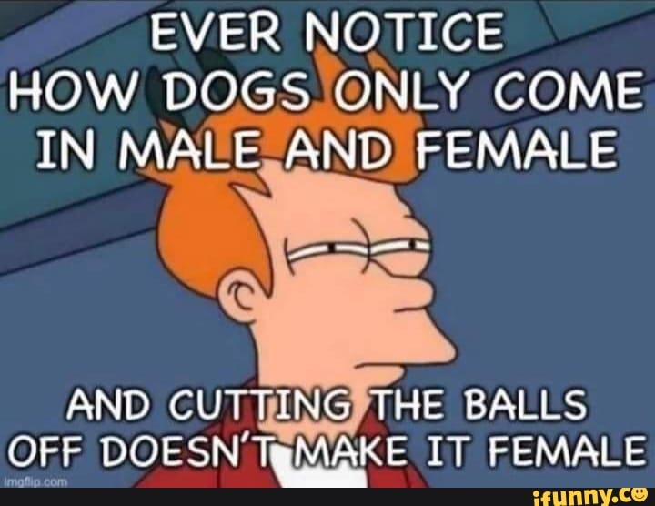 EVER NOTICE HOW DOGS ONLY COME IN MALE AND FEMALE AND CUTTING THE BALLS