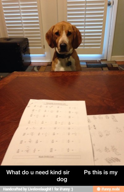 What do u need kind sir Ps this is my - What do u need kind sir Ps this is my dog