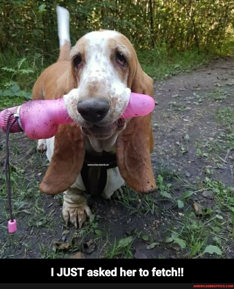 I JUST asked her to fetch!!