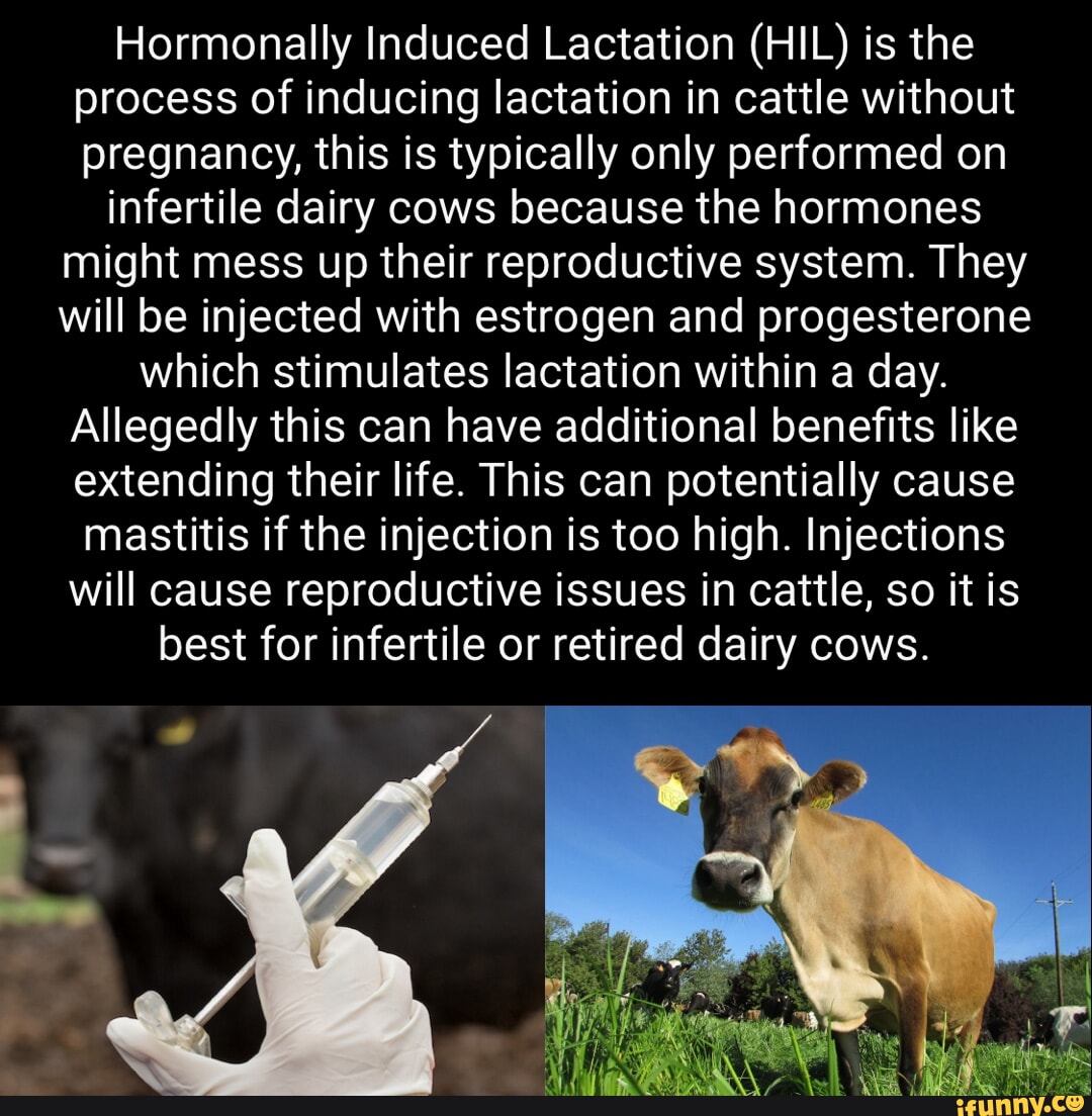 Hormonally Induced Lactation (HIL) is the process of inducing lactation ...