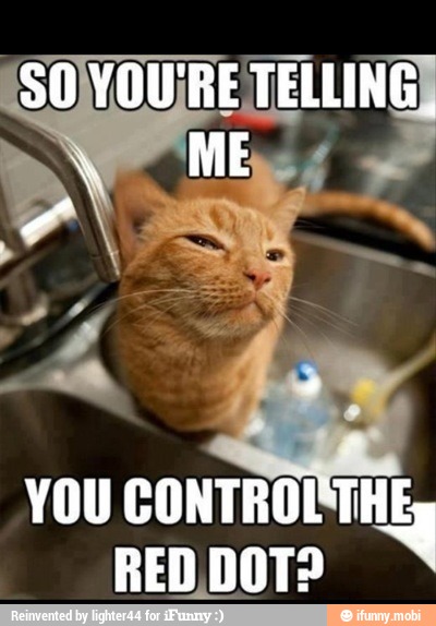 SOJYOU¡RE TELLING
YOU CONTROL THE
REDDOT?