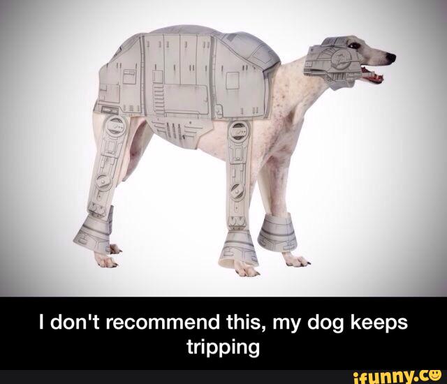 I don't recommend this, my dog keeps
tripping - I don't recommend this, my dog keeps tripping