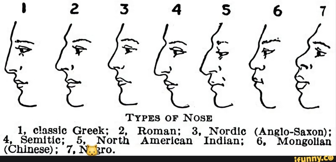 2 3 4 6 7 TYPES OF NOSE 1, classic Greek; 2, Roman; 3, Nordic (Anglo