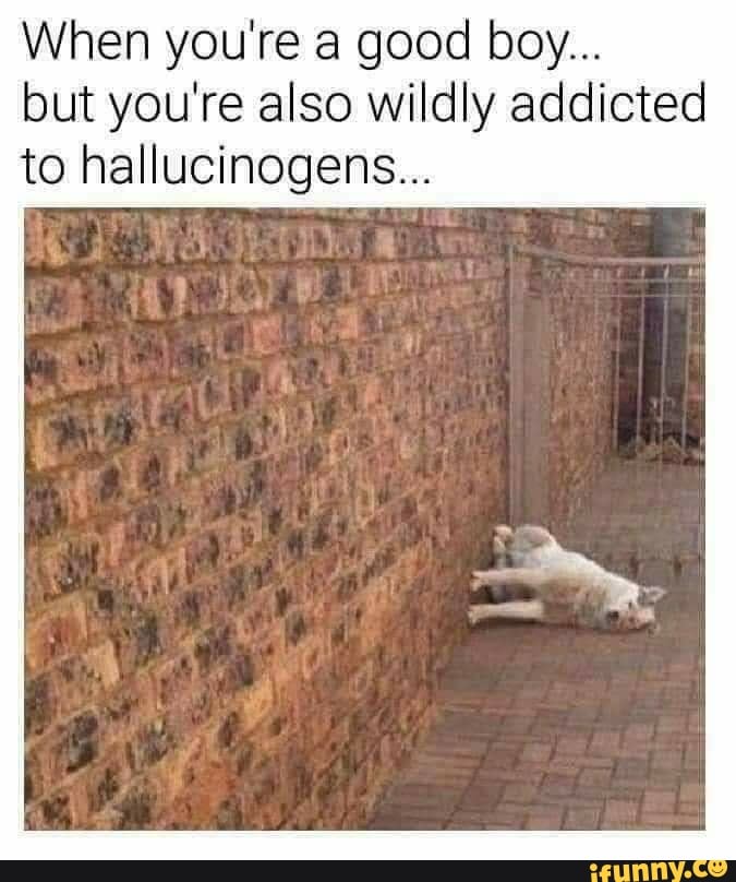 When you're a good boy...
but you're also wildly addicted
to hallucinogens...