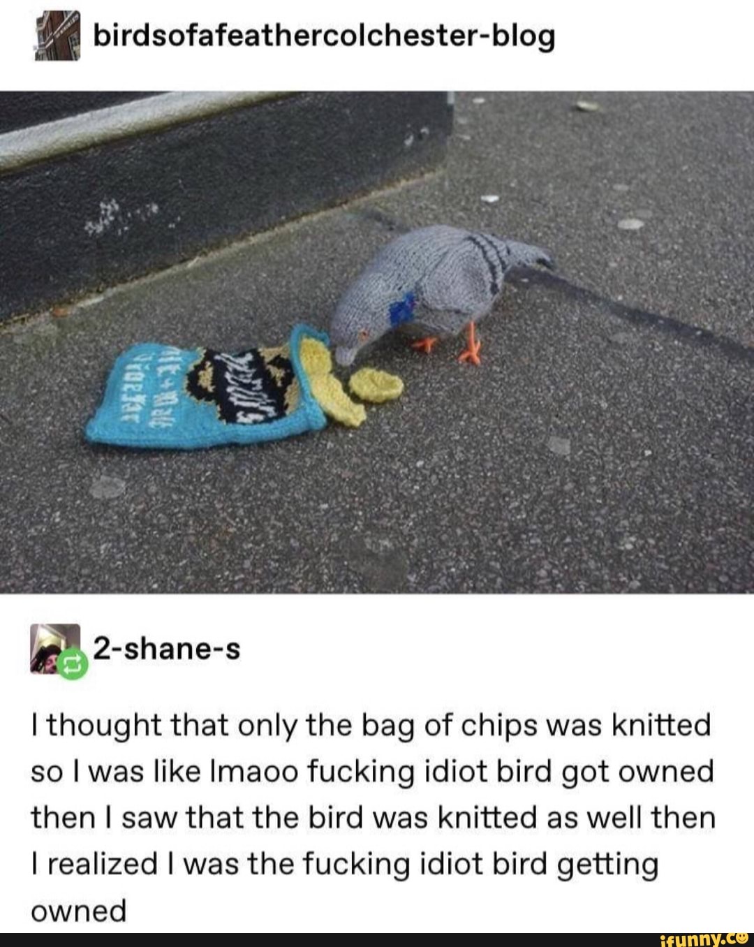 birdsofafeathercolchester-blog
ªZ-shane-s
Ithought that only the bag of chips was knitted
so Iwas like lmaoo fucking idiot bird got owned
then I saw that the bird was knitted as well then
I realized I was the fucking idiot bird getting
owned
