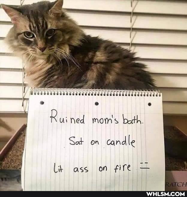 Ruined mom's beth.
Sot on candle
lit ass on fire