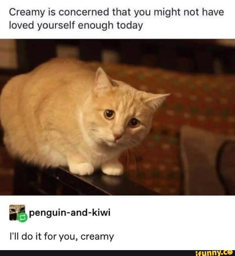 Creamy is concerned that you might not have
loved yourself enough today
4 penguin-and-kiwi
I'll do it for you, creamy