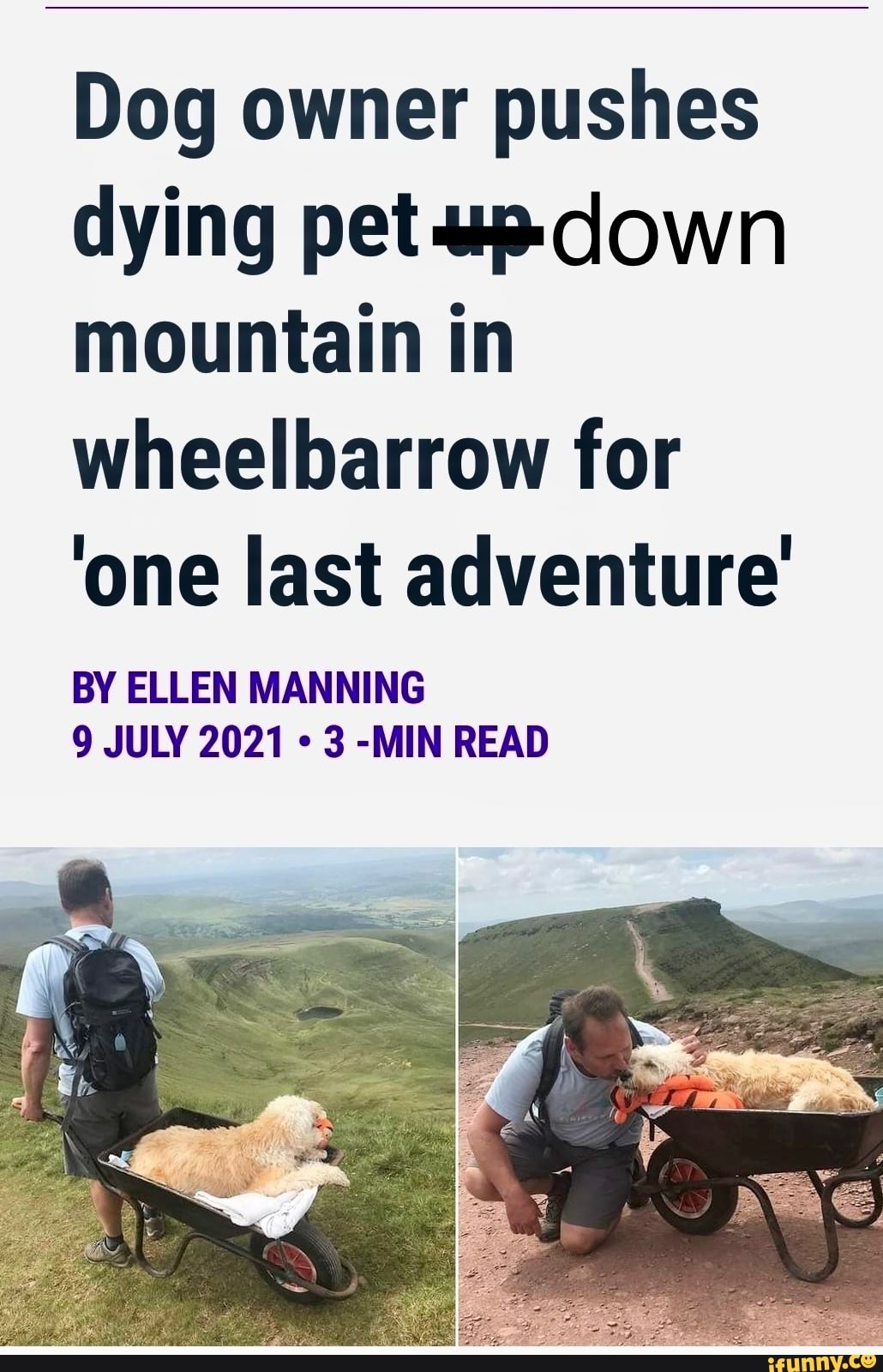 Wheelbarrow memes. Best Collection of funny Wheelbarrow pictures on iFunny