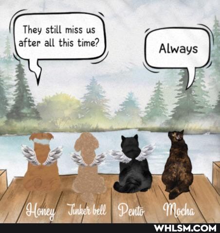 still miss us
after all this time?