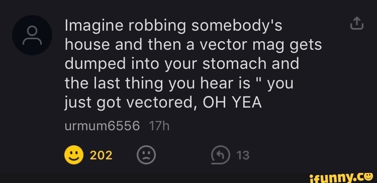 Imagine Robbing Somebody S House And Then A Vector Mag Gets Dumped Into Your Stomach And The Last Thing You Hear Is You Just Got Vectored Oh Yea Urmum6556 22