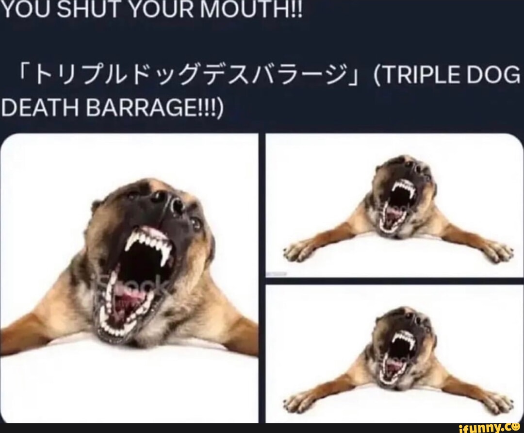 YOU ShIUT YOUR (TRIPLE DOG DEATH BARRAGE!!) - iFunny