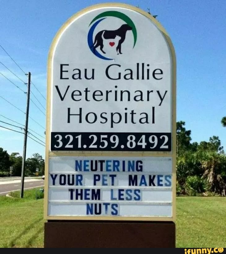 Eau Gallie Veterinary Hospital THEM LESS NUTS NEUTERING YOUR PET