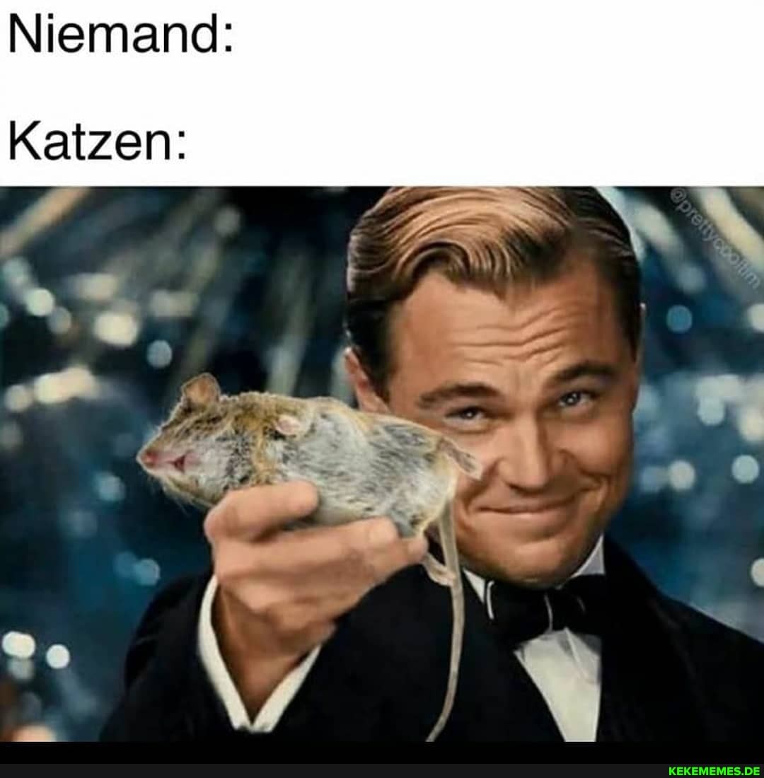 Niemand:
Katzen: