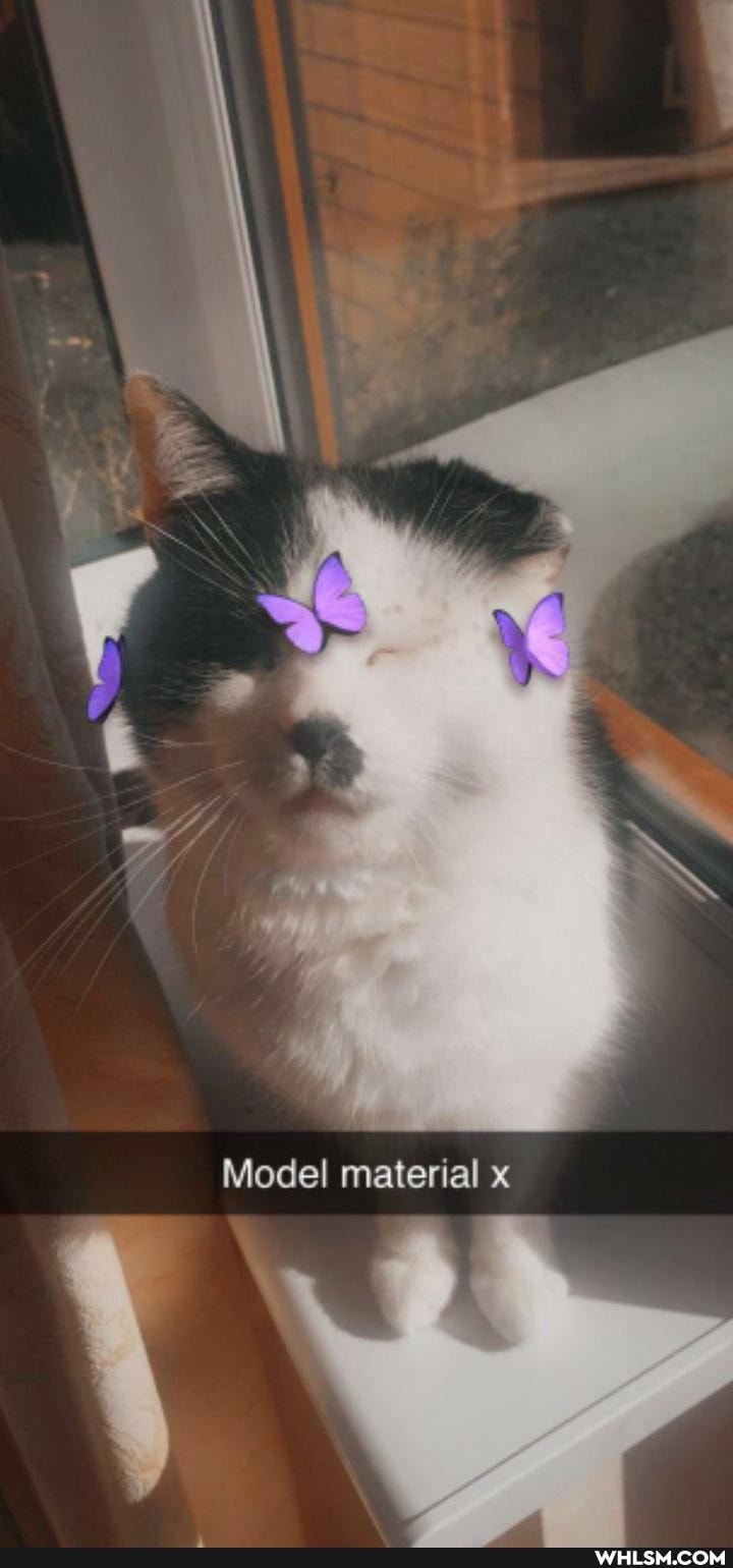 Model material x