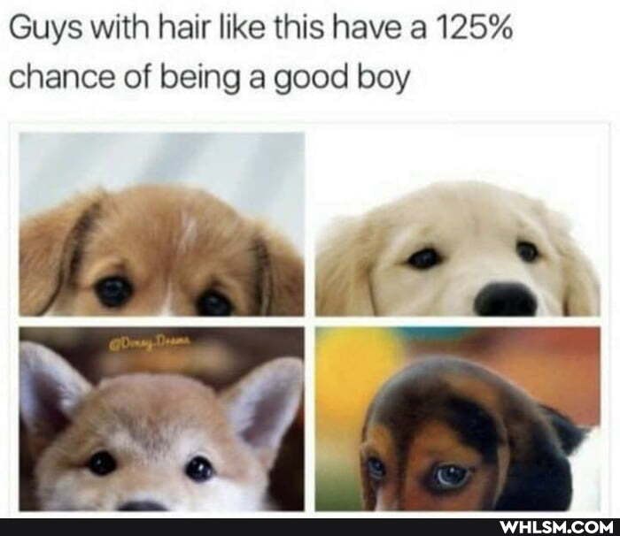 Guys with hair like this have a 125% chance of being a good boy
*ai