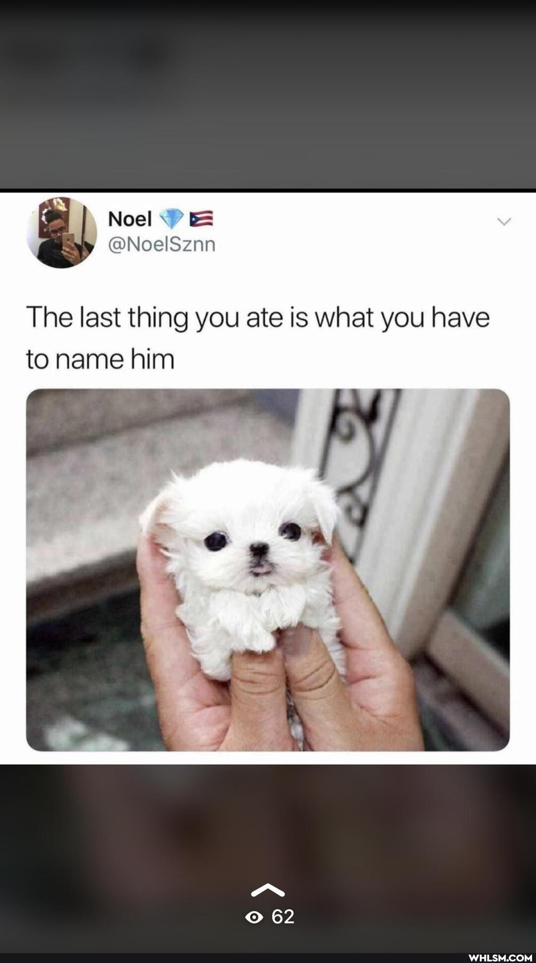 Noel @
The last thing you ate is what you have to name him
62