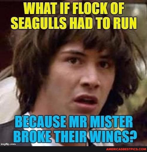 HAT IF FLOCK OF SENGULLS HAD TO
vi
BEC EUSE MA AISTER