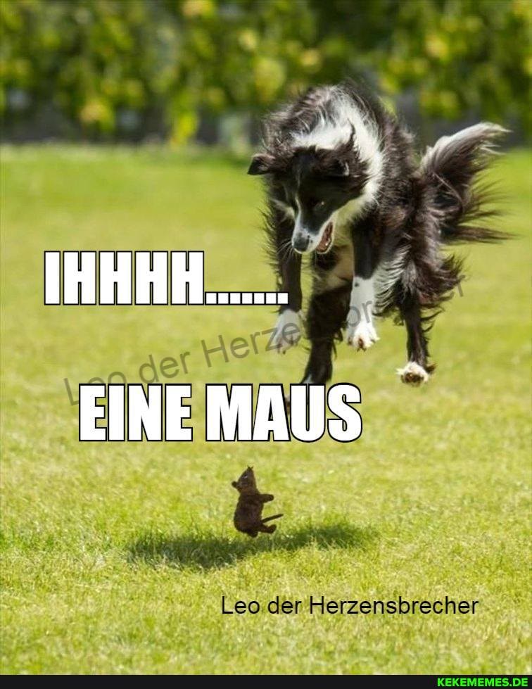 Leo der Herzensbrecher
