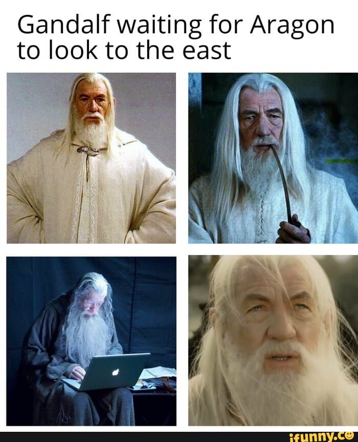 Gandalf waiting for Aragon to look to the east - iFunny