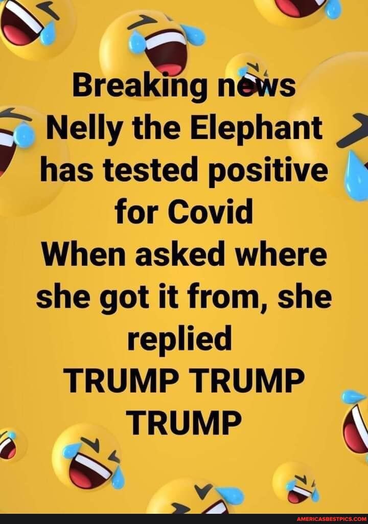 . wy
Brealttg news
Nelly the Elephant has tested positive for Covid
When asked where she got it from, she replied
TRUMP TRUMP TRUMP
SS
Ni