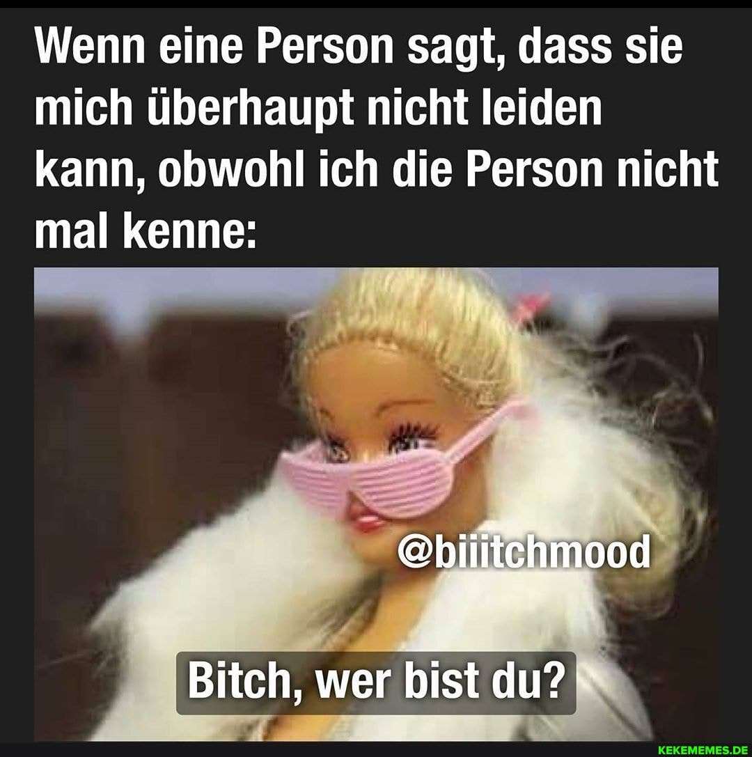Wenn eine Person sagt, dass sie mich überhaupt nicht leiden kann, obwohl ich die Person nicht mal kenne:
Bitch, wer bist du?