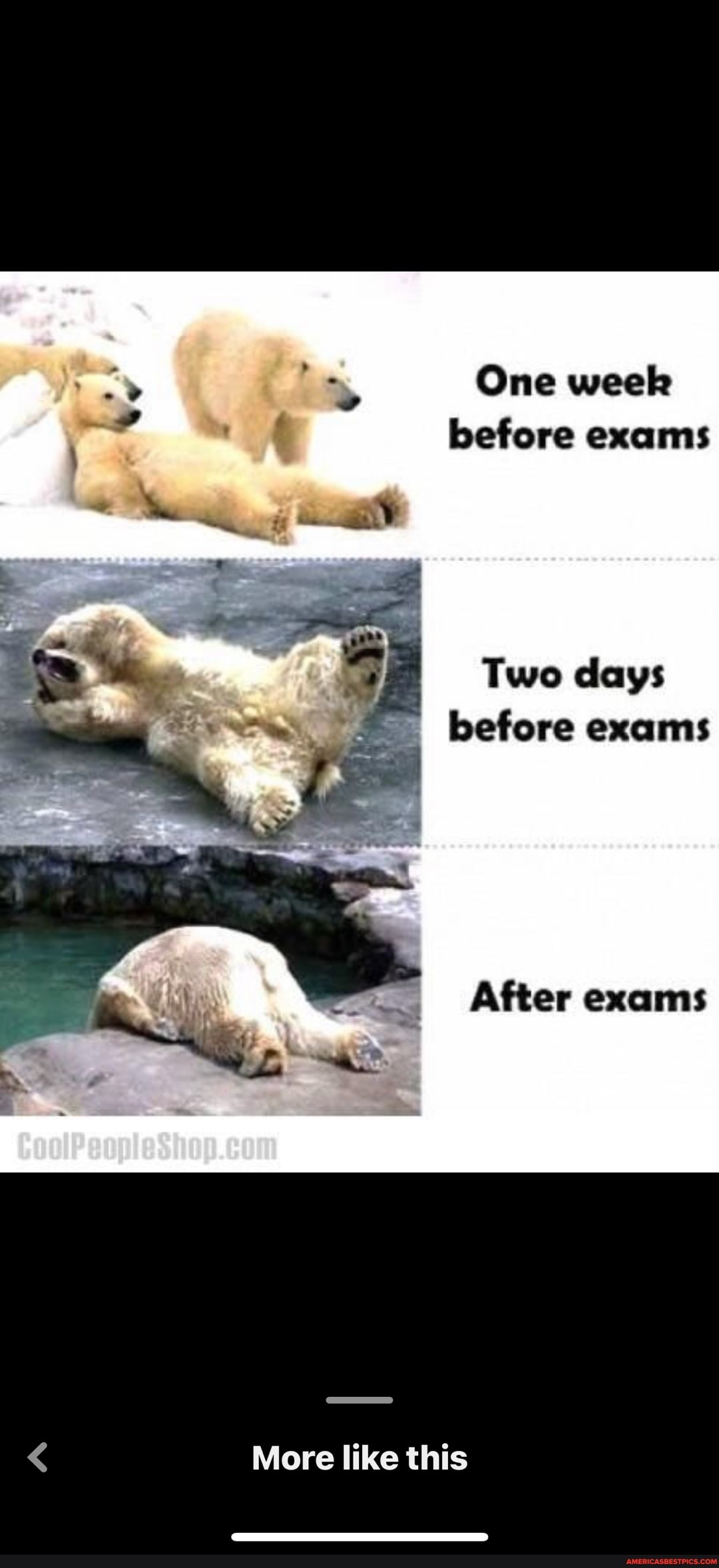 One week before exams Two days before exams After exams More like this