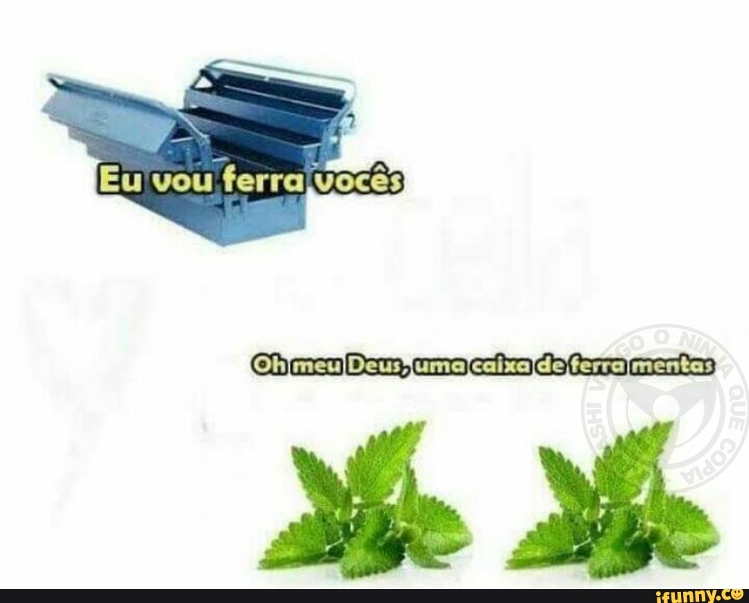 caixa, caixadeferramentas, ferrar, menta