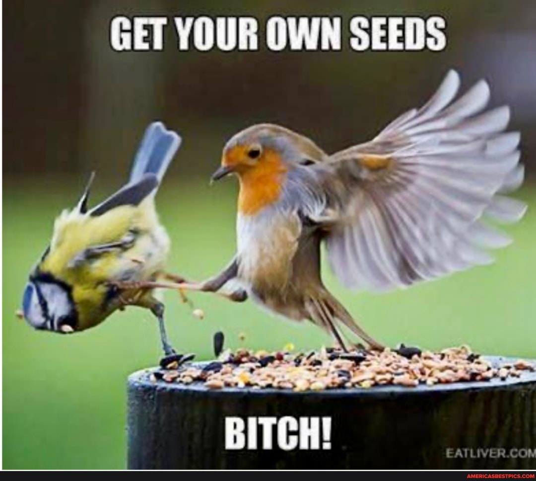 GET YOUR OWN SEEDS