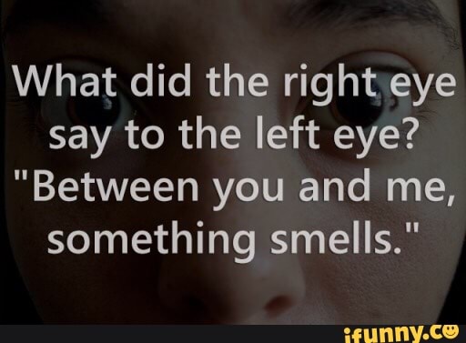 What Did The Right Eye Say To The Left Eye Between You And Me Something Smells Ifunny