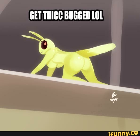 GET THICC BUGGED LOL