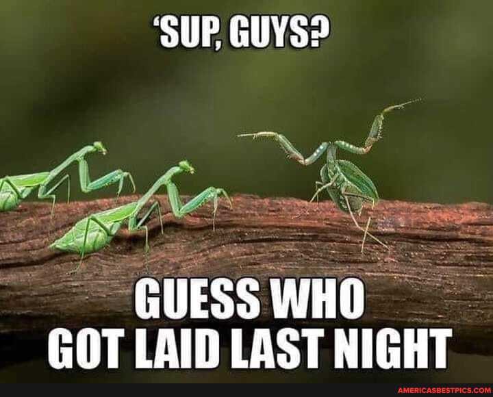 'SUP, GUYS?
GUESS WHO GOT LAID LAST NIGHT