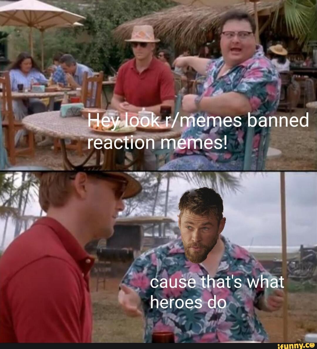 Hey look banned reaction memes! cause that's what heroes do - iFunny