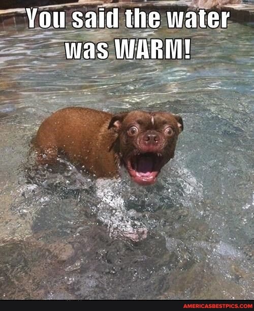 You said the water was WARM!