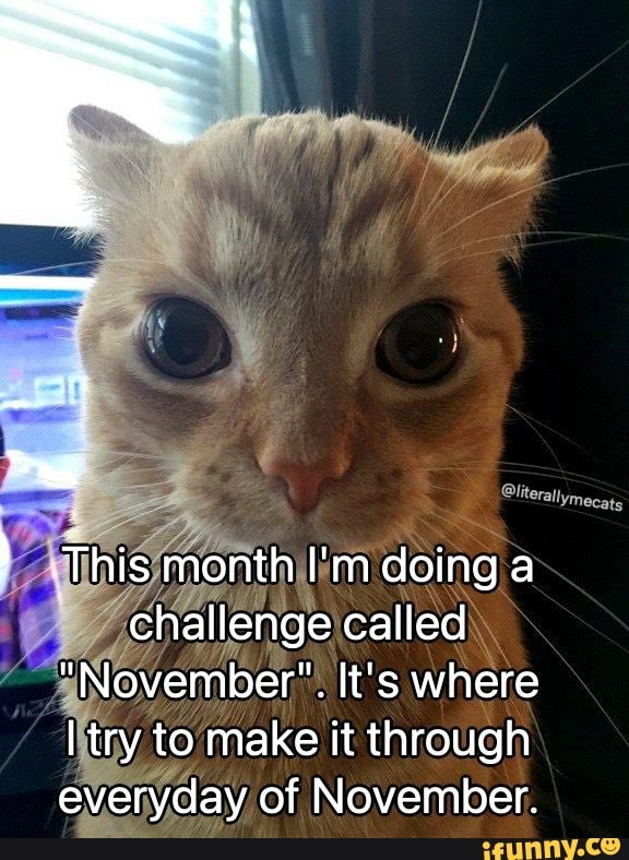 this-month-i-m-doing-a-challenge-called-november-it-s-where-i-try-to