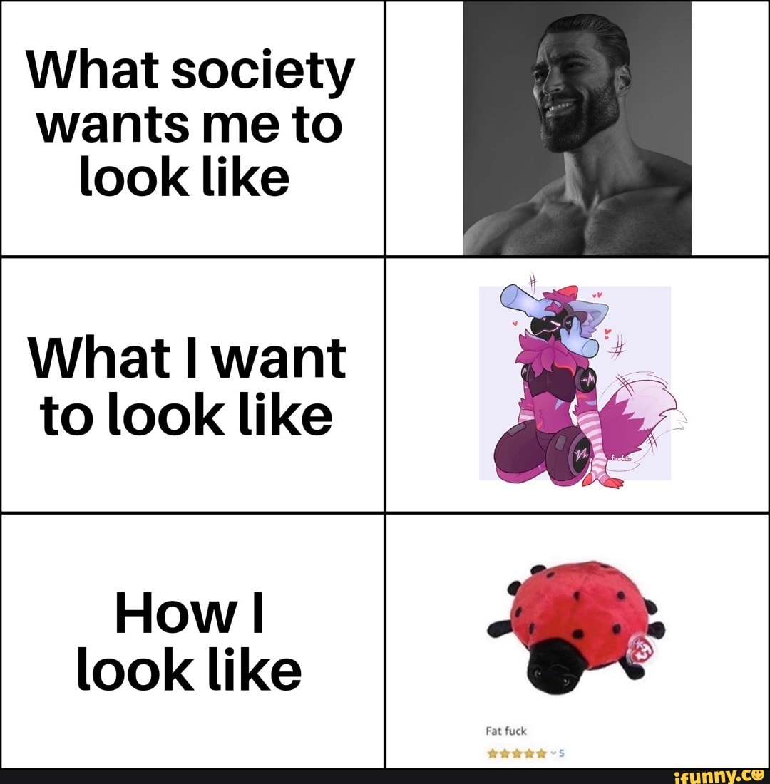 What society wants me to look like
What I want to look like
How I look like
Fat fuck