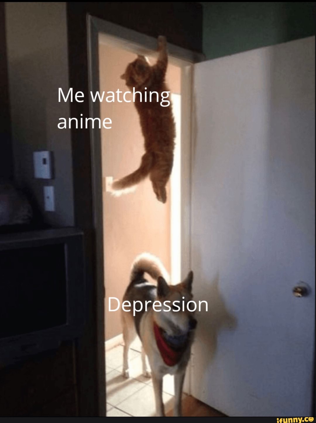 Me watching anime
Depression