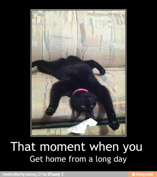 That moment when you
Get home from a long day - That moment when you
Get home from a long day