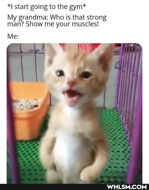 *I start going to the gym*
My grandma: Who is that strong man? Show me your muscles!